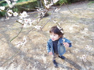 子供春